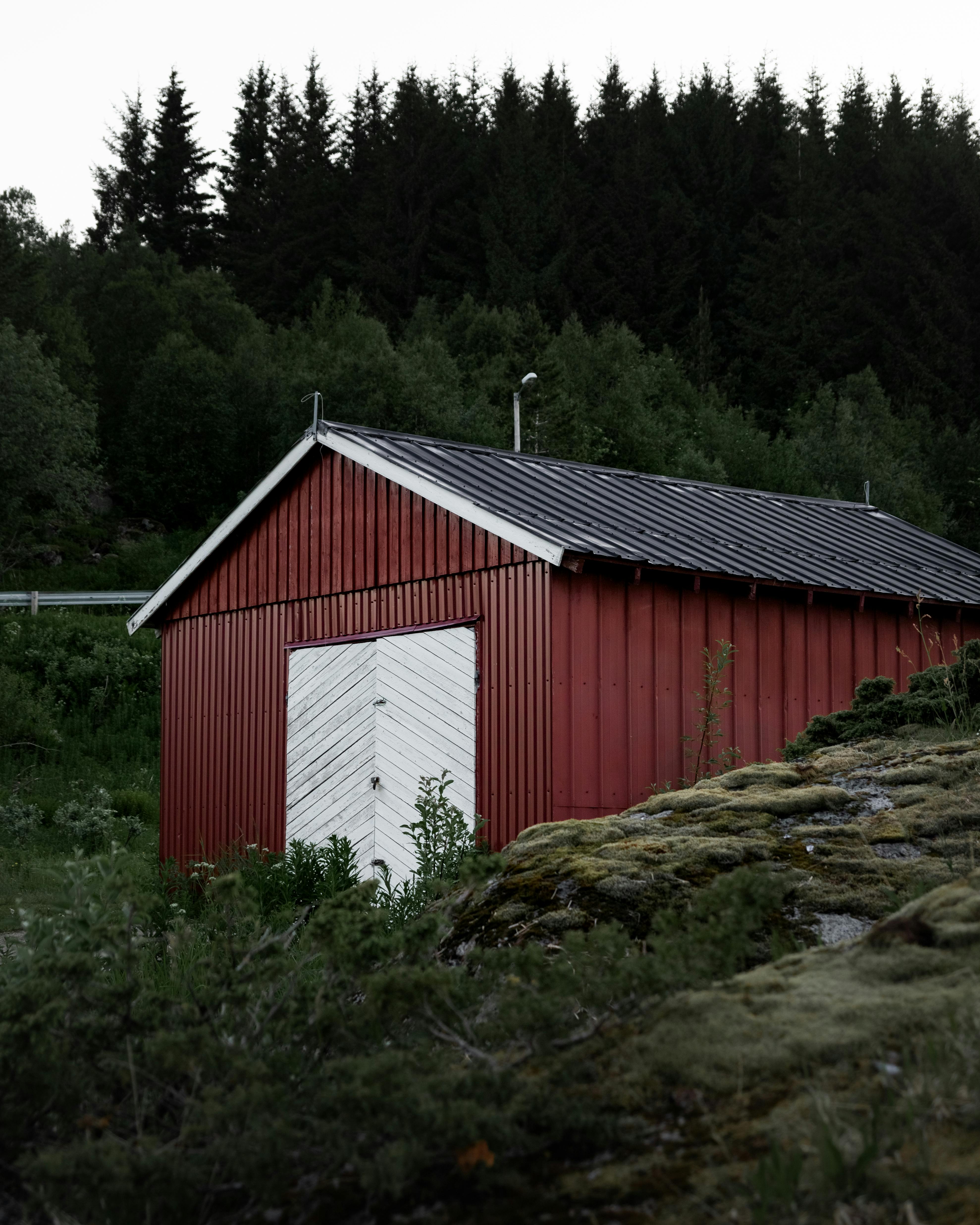 Rød norsk uthus i skogkant